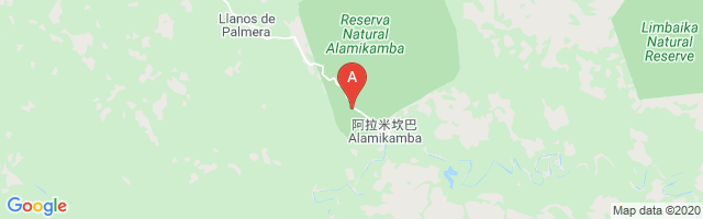 Alamicamba Airport图片