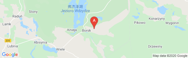 Borsk Air Base Airport图片
