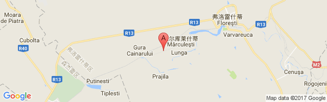 Mărculeşti International Airport图片