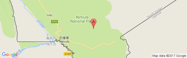 Nimuli Airport图片