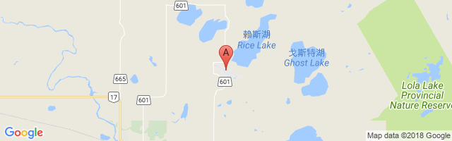 德赖登地区机场 Dryden Regional Airport图片