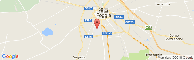 Foggia / Gino Lisa Airport图片