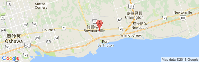 Bowmanville (Memorial Hospital) Airport图片