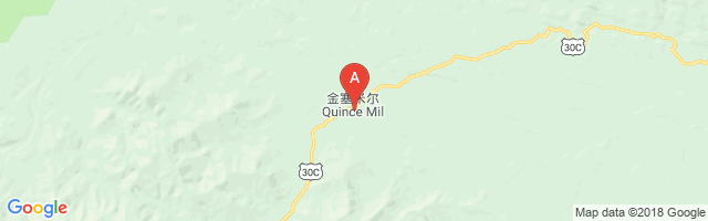 Quince Air Base Airport图片