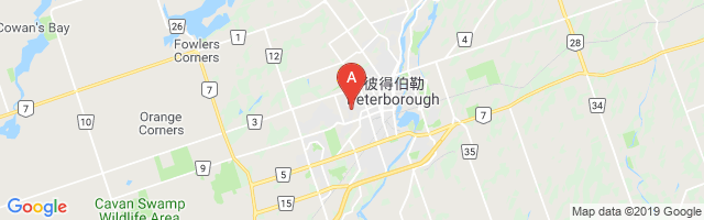 Peterborough (Civic Hospital) Airport图片