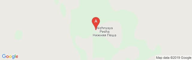 Nizhnyaya Pesha Airport图片