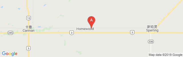 Homewood Airport图片