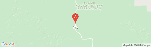 Alamo Navajo Airport图片