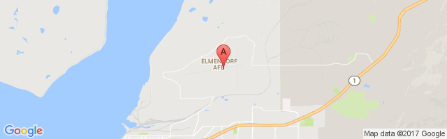 Elmendorf Air Force Base Airport图片