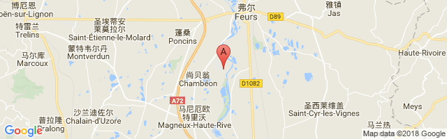 Feurs Chambéon Airport图片