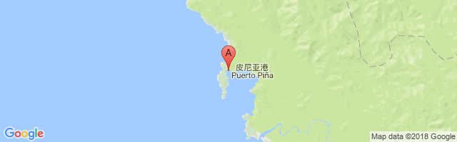 Bahia Piña Airport图片