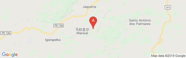 Destilaria São Luiz Airport图片