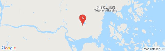 Tête-à-la-Baleine Airport图片