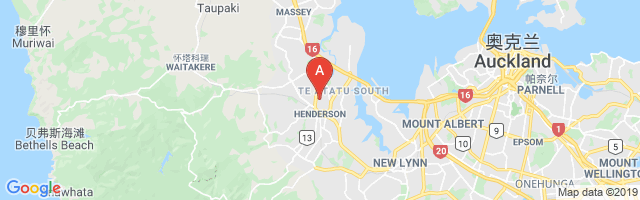 Waitakere Hospital Airport图片