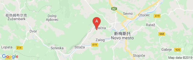 Novo Mesto Airport图片