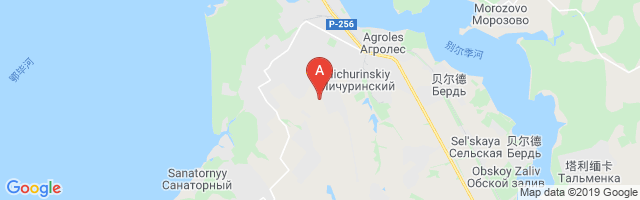 Berdsk Airfield Airport图片