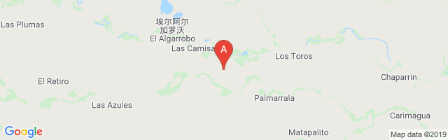 Los Toros Airport图片