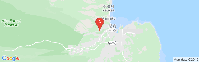 Hilo Medical Center Airport图片