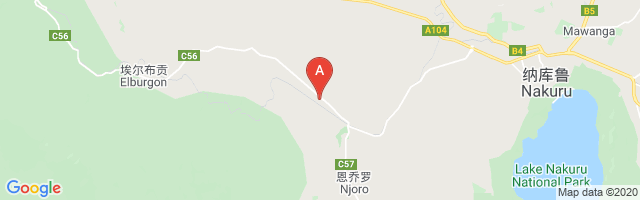 Njoro Airport图片