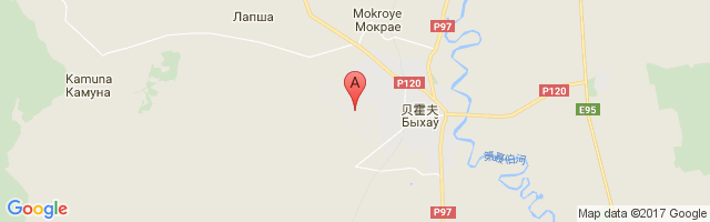 Bykhau Air Base Airport图片