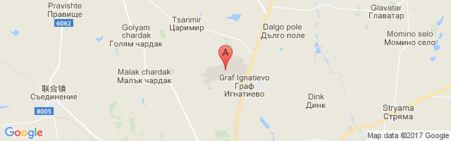 Graf Ignatievo Air Base Airport图片