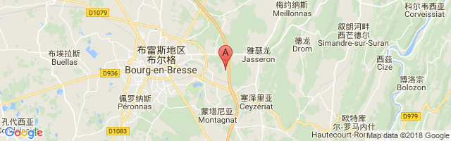 Bourg-Ceyzériat Airport图片