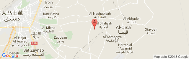 Marj al-Sultan (South) Airport图片