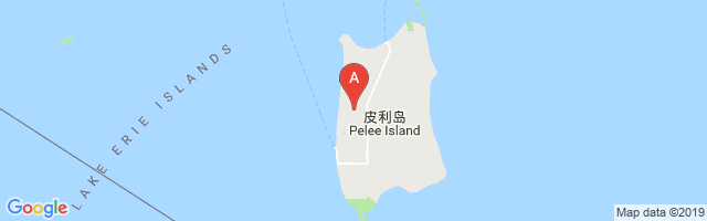 Pelee Island Airport图片