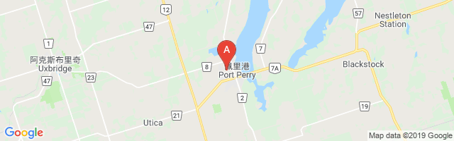 Port Perry (Community Memorial Hospital) Airport图片