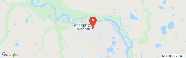 Koliganek Airport图片