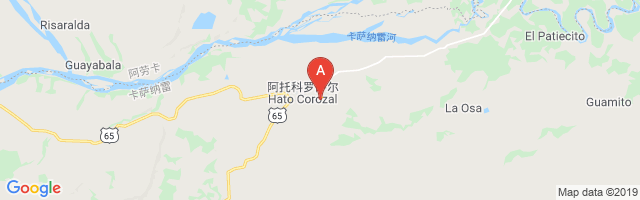 Hato Corozal Airport图片