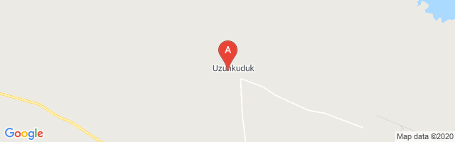 Uzunkuduk Airport图片