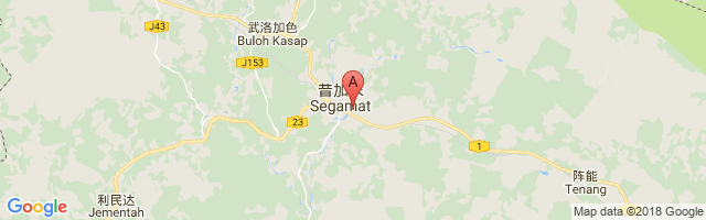 Segamat Airport图片