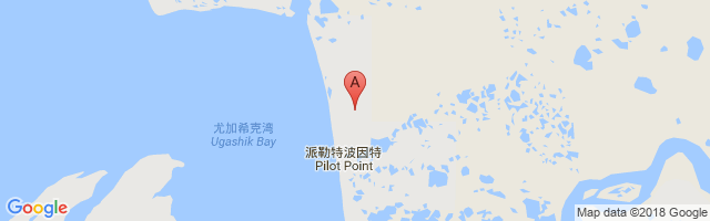 Pilot Point Airport图片