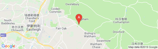 Lower Upham Airfield Airport图片