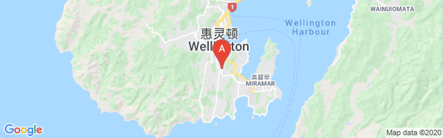 Wellington Hospital Airport图片