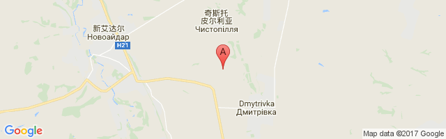 Dmitrievka Airfield Airport图片