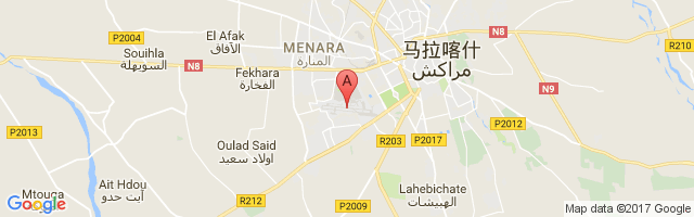马拉喀什机场 Menara Airport图片