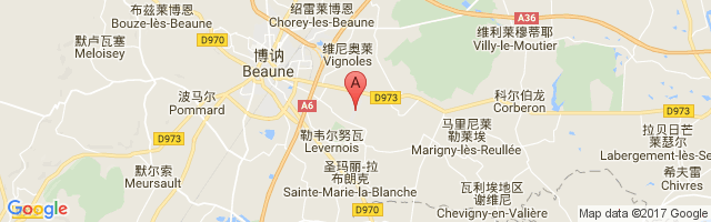 Beaune-Challanges Airport图片