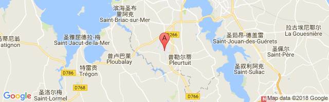 Dinard-Pleurtuit-Saint-Malo Airport图片