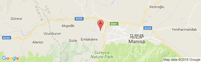 Manisa Organize Sanayi Airport图片