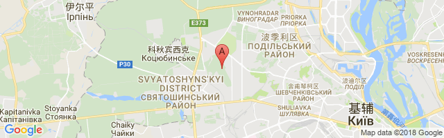 Svyatoshyn Airport图片