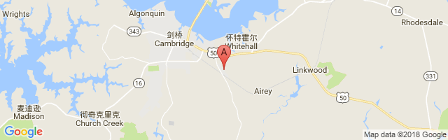 Cambridge-Dorchester Airport图片