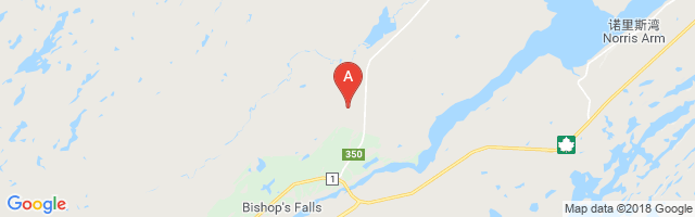 Exploits Valley Botwood Airport图片
