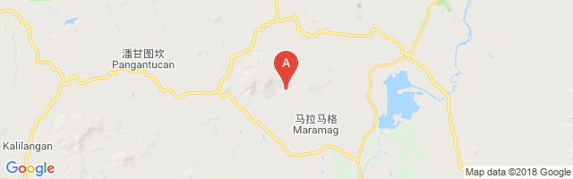 Maramag Airport图片