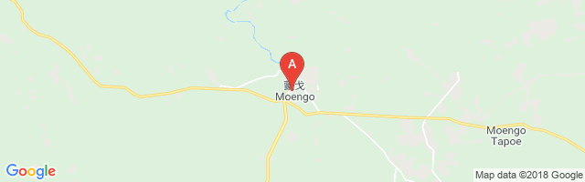 Moengo Airstrip Airport图片