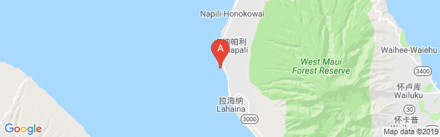 Hyatt Regency Maui Hotel Airport图片