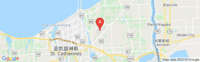 Niagara District Airport图片