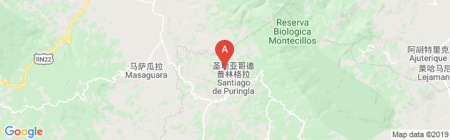 Santiago De Puringla Airport图片
