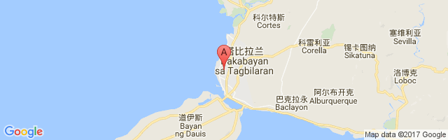 Tagbilaran Airport图片